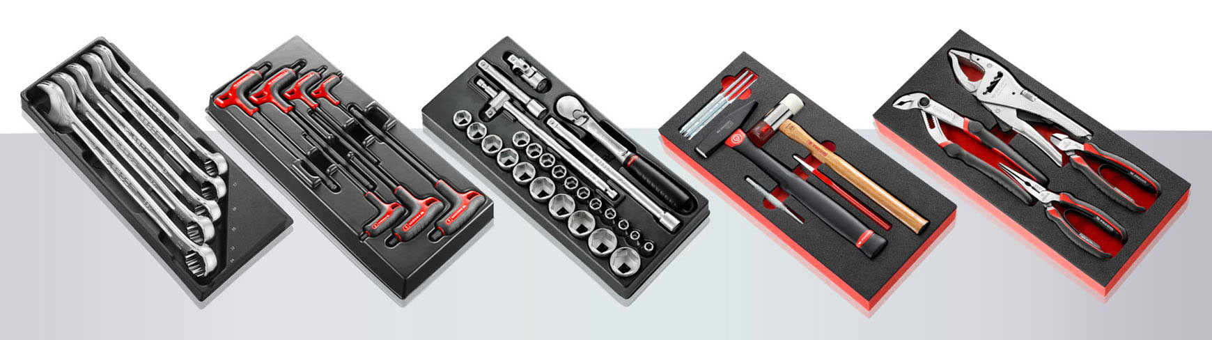Module Trays