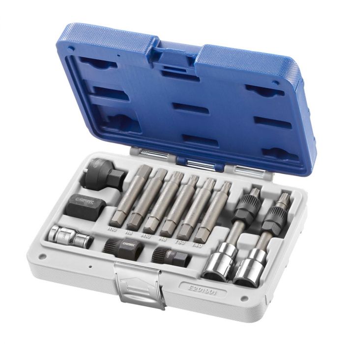 EXPERT by FACOM E201901 - 13pc Alternator Pulley Kit + Case