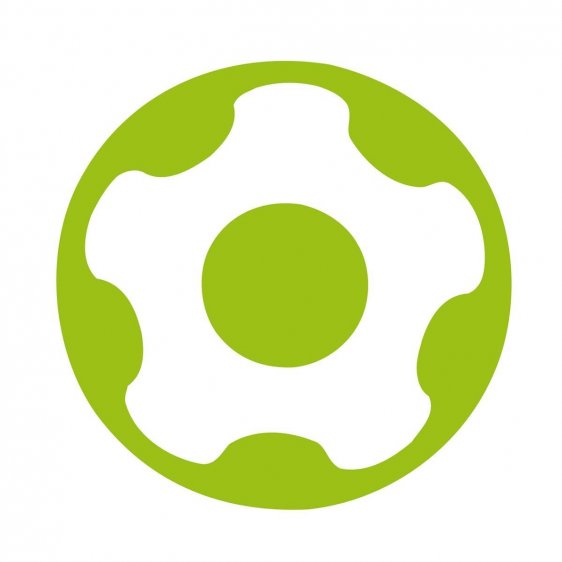 FACOM ATXRPX - Tamper Resistant Torx Plus Protwist Screwdriver