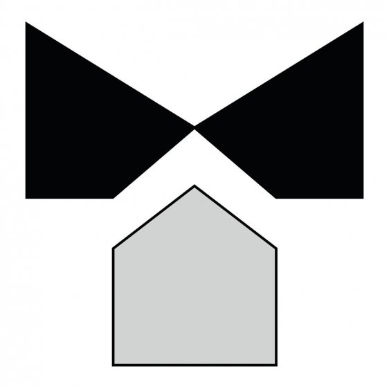 EXPERT by FACOM E117882 - 110mm Flush Diagonal Side Cutter Precision Pliers